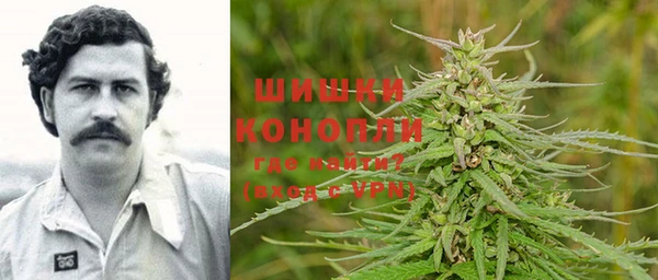ECSTASY Козловка