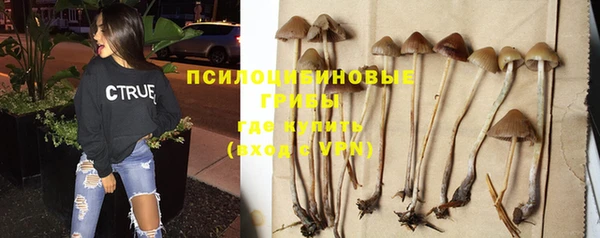 амф Кодинск
